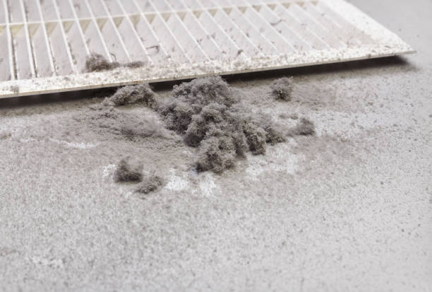 Best Air Vent Cleaning Services  in Bastrop, TX