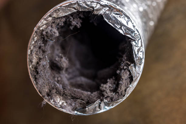 Best Air Duct Cleaning Company Near Me  in Bastrop, TX